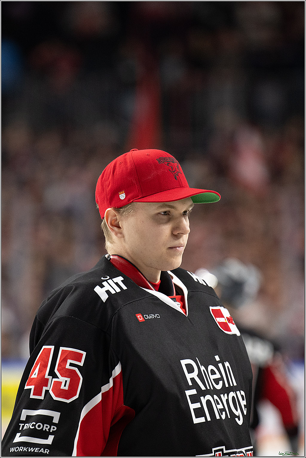 PENNY DEL; Koelner Haie-Duesseldorfer EG ; Koeln, 16.02.2025